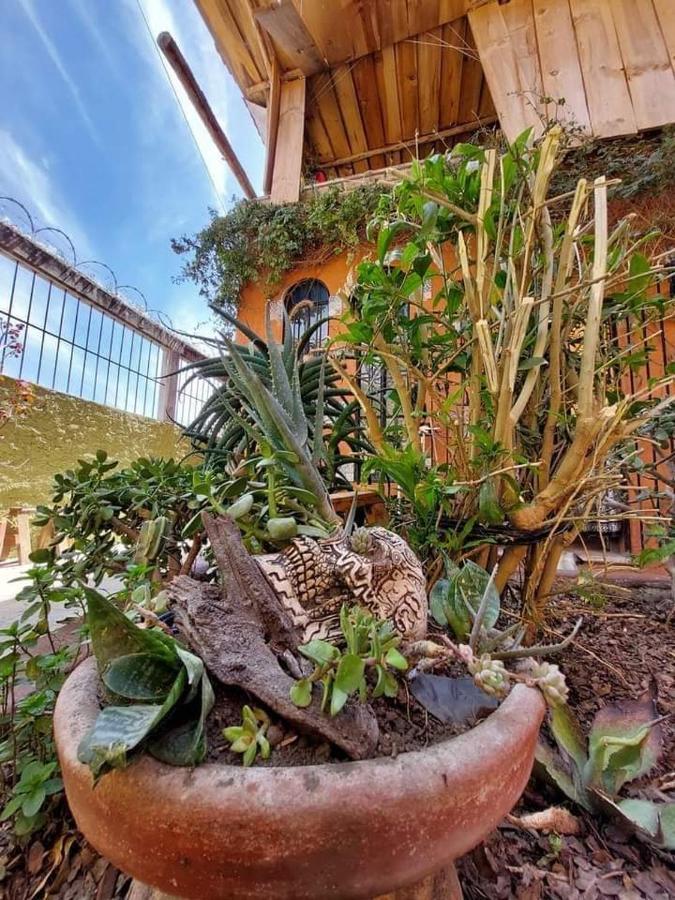 Cuarto Matrimonial Casa Oasis Guanajuato Bed & Breakfast Exterior photo